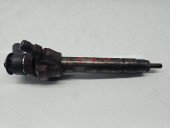 Injector Bmw 3 (E90) [Fabr 2005-2011] 7798446-04, 0445110289 2.0 N47D20 105KW / 143CP1P