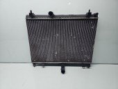 Radiator apa PEUGEOT 508 [Fabr 2010-2018] 9688421380 1.6 HDI DV6C 82KW / 112CP