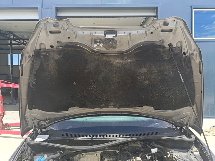 Capota motor Seat Altea (5P1) [Fabr 2004-2010] Hatchback LS7U