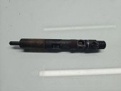 Injector Renault Kangoo 2 [Fabr 2008-prezent] 166001137R 1.5 dCi K9K-704 85KW / 105CP