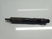 Injector Renault Megane 3 [Fabr 2008-2015] 166001137R 1.5 dCi K9K-704 85KW / 105CP