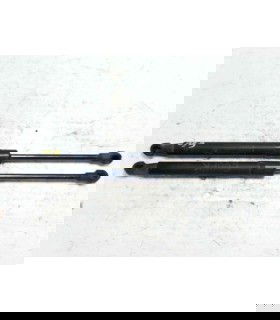 Amortizor haion 7008745 Bmw 5 (E60) [Fabr 2004-2010]