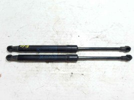 Amortizor haion 7008745 Bmw 5 (E60) [Fabr 2004-2010]