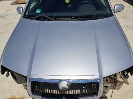 Capota motor Skoda Fabia 1 (6Y2) [Fabr 1999-2008] Hatchback GRI