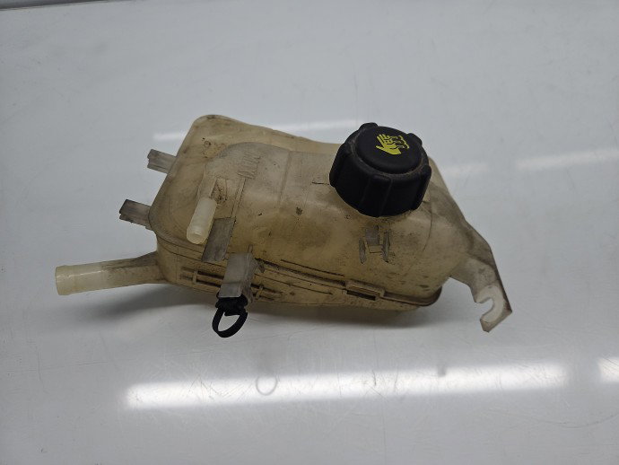Vas expansiune Renault Megane 3 [Fabr 2008-2015] Break  217100005R