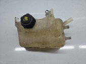 Vas expansiune Renault Megane 3 [Fabr 2008-2015] Break  217100005R