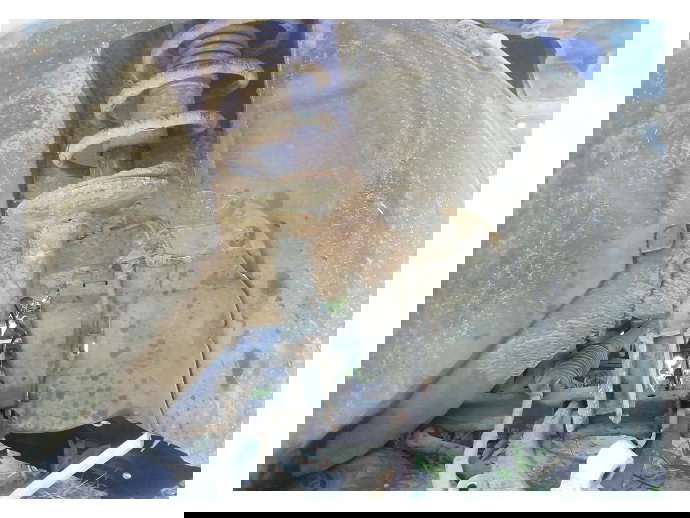 Amortizor cu arc dreapta fata Dacia Logan 1 1.4 benz OEM 2004-2012