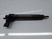 Injector LAND ROVER Range Rover Evoque [Fabr 2011-2018] 9687454480 2.2 SD4 224DT 140KW / 190CP