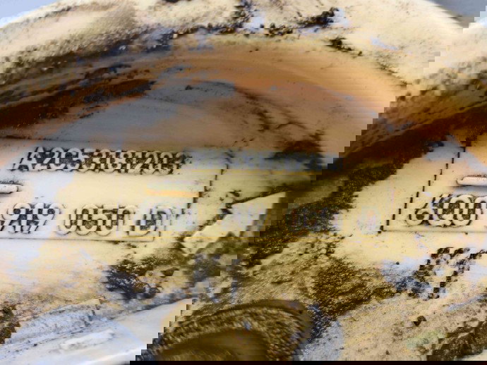 Pompa combustibil Seat Cordoba (6L2) [Fabr 2002-2009] 6Q0919050D 1.4 TDI BNM  