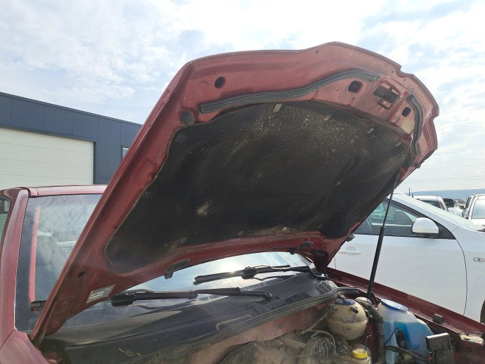 Capota motor Volkswagen Polo (6N2) [Fabr 1995-2000] Coupe ROSU