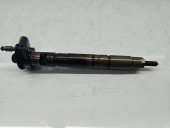 Injector Volkswagen Tiguan (5N) [Fabr 2007-2016] 03L130277 2.0 TDI CBB 125KW / 170CP