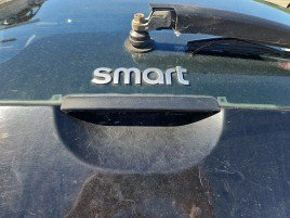 Maner haion SMART ForFour [Fabr 2004-2006] Berlina