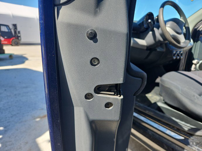 Broasca usa stanga fata SMART ForFour [Fabr 2004-2006] Berlina