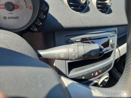 Ansamblu manete SMART ForFour [Fabr 2004-2006]