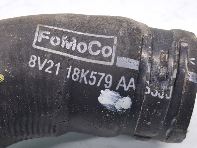 Furtun apa Ford Fiesta 6 [Fabr 2008-2019] 8V21-18K579-AA 1.3 Benz SNJB 60KW / 90CP