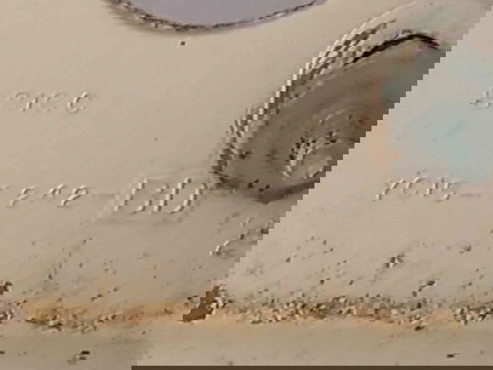 Trager YC158242BD Ford Transit [Fabr 2000-2006] 2.4 D4FA