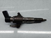 Injector Citroen C4 (II) [Fabr 2009-2018] 9674973080