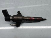 Injector Citroen C4 (II) [Fabr 2009-2018] 9674973080