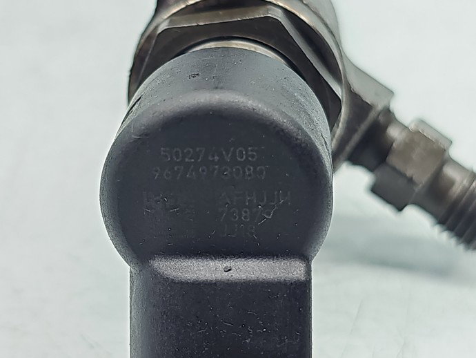 Injector Citroen C4 (II) [Fabr 2009-2018] 9674973080