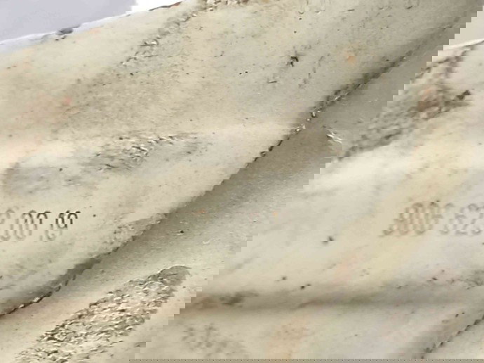 Traversa capota 9066230019 MERCEDES Sprinter 3.5-t (906) [Fabr 2006-2013] 2.2