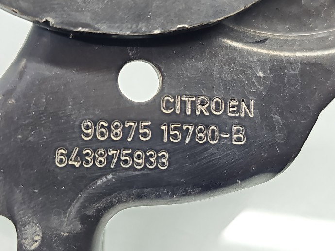 Set balamale capota Citroen C4 (II) [Fabr 2009-2018] Hatchback 9687515780, 9687536680