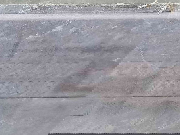 Trager 1859383116 PEUGEOT 307 CC (3B) [Fabr 2003-2009]