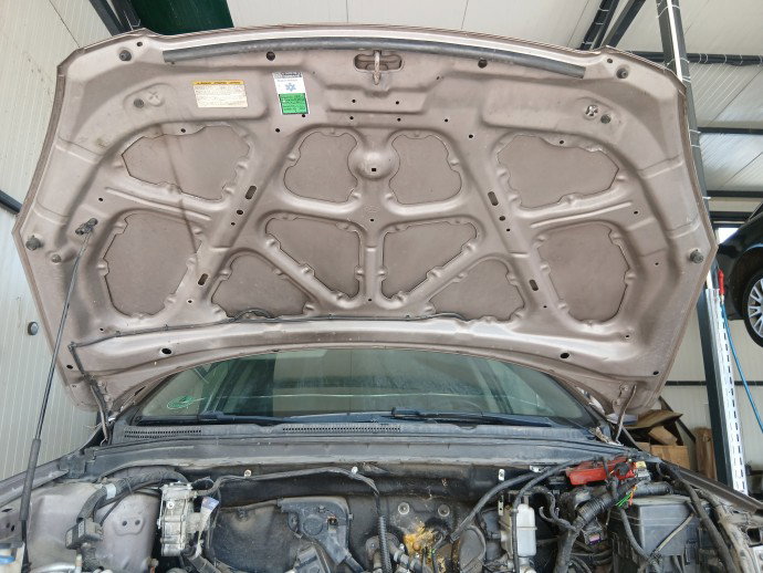 Capota motor KIA Ceed (SW) [Fabr 2007-2012] Hatchback MARO
