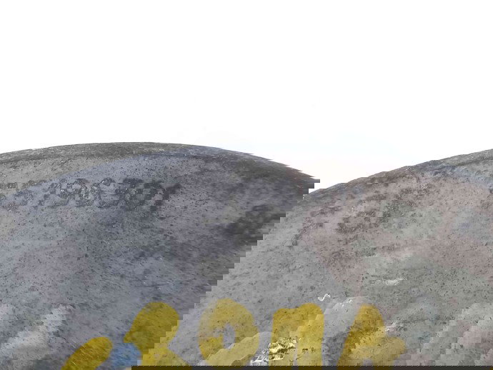 Fulie motor 55196301 FIAT Croma (194) [Fabr 2005-2010]