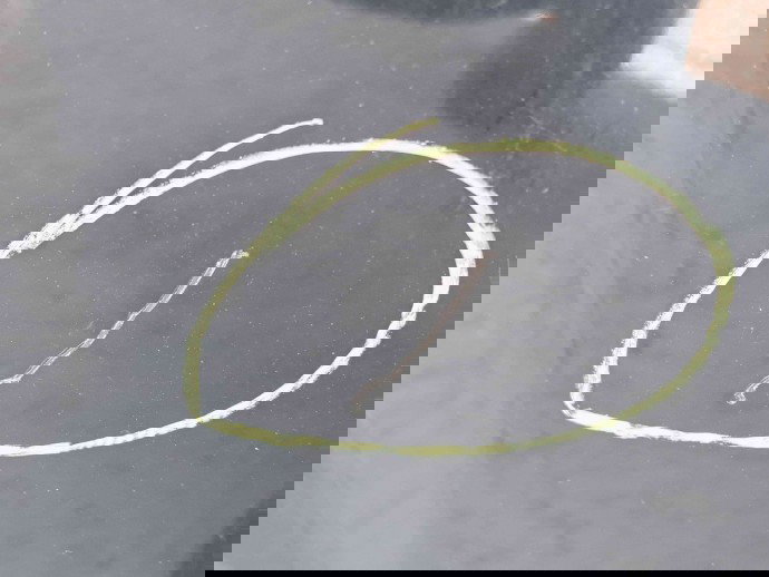 Capota Toyota Rav 4 II (CLA2, XA2, ZCA2, ACA2) [Fabr 2000-2006] 202