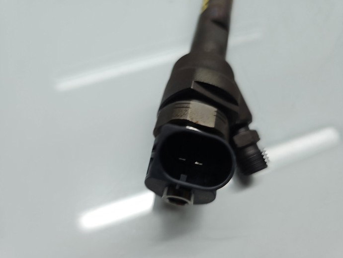 Injector Bmw 3 (F30) [Fabr 2012-2017] 7810702-06 2.0 N47D20O1 135KW / 184CP