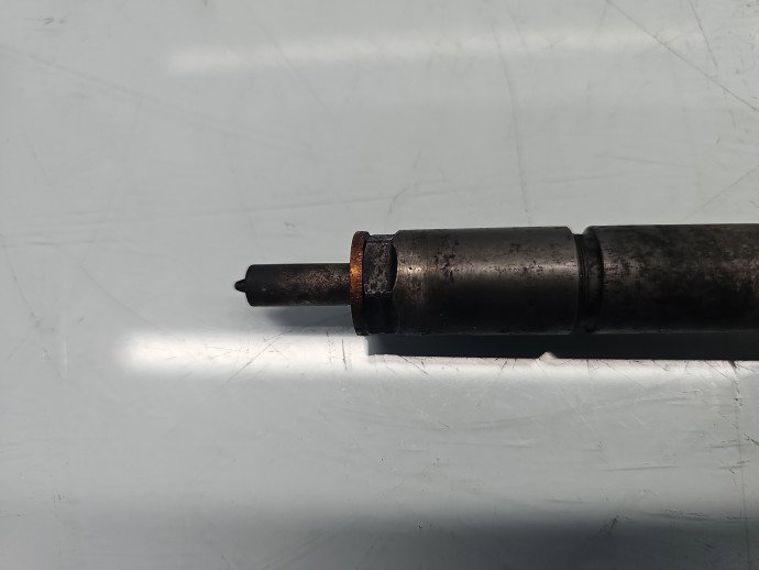 Injector Citroen C4 (I) Picasso [ Fabr 2006-2013] 0445110297 1.6 HDI 9H01 80KW / 109CP