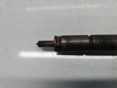 Injector Citroen C4 (I) Picasso [ Fabr 2006-2013] 0445110297 1.6 HDI 9H01 80KW / 109CP