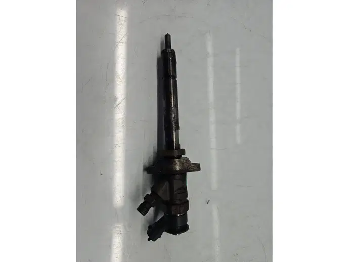 Injector Citroen C4 (I) Picasso [ Fabr 2006-2013] 0445110297 1.6 HDI 9H01 80KW / 109CP