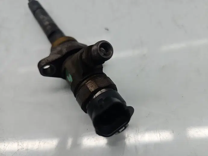 Injector Citroen C4 (I) Picasso [ Fabr 2006-2013] 0445110297 1.6 HDI 9H01 80KW / 109CP