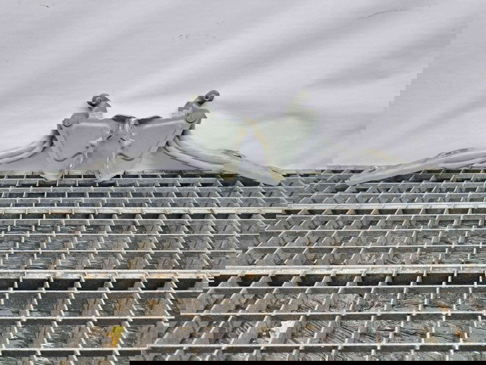 Set balamale capota Opel Mokka [Fabr 2012-2019] 95141369 | 95141368