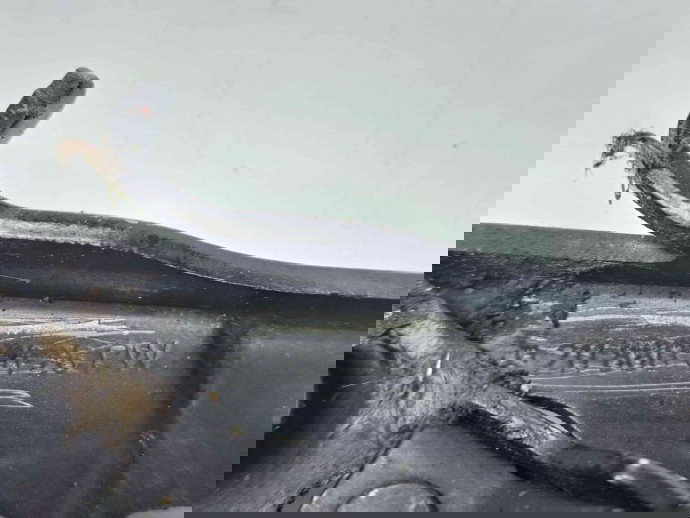 Set balamale capota Mercedes Clasa E (W211) [Fabr 2002-2009] 2118800428 / 2118800128