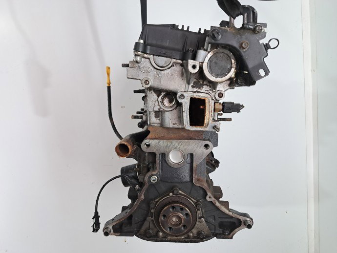 Motor complet ambielat Hyundai Accent 3 (MC) [Fabr 2005-2008] G4EE 1.4 Benz G4EE 71KW / 97CP