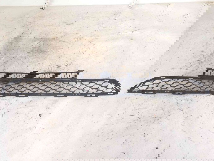 Grila bara fata OEM HYUNDAI Santa Fe 2 (CM) [Fabr 2005-2012]