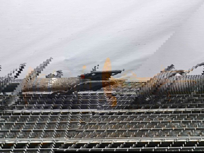 Amortizor stanga fata Nissan Juke [Fabr 2010-2014] Hatchback OEM 1.6 B HR16DE 1.6 B HR16DE 77KW / 105CP