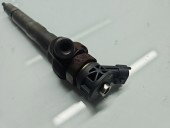 Injector LAND ROVER Range Rover Velar (L560) [Fabr 2019-2025] G4D3-9K546-AB 2.0 204DTH 132KW / 180CP