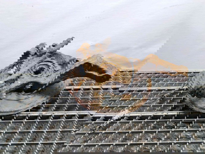 Fuzeta fata dreapta Nissan Qashqai Facelift (2) [Fabr 2009-2013] OEM 1.5 DCI K9K  