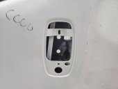 Usa stanga fata Opel Vivaro (F7) [Fabr 2001-2013] EZZ