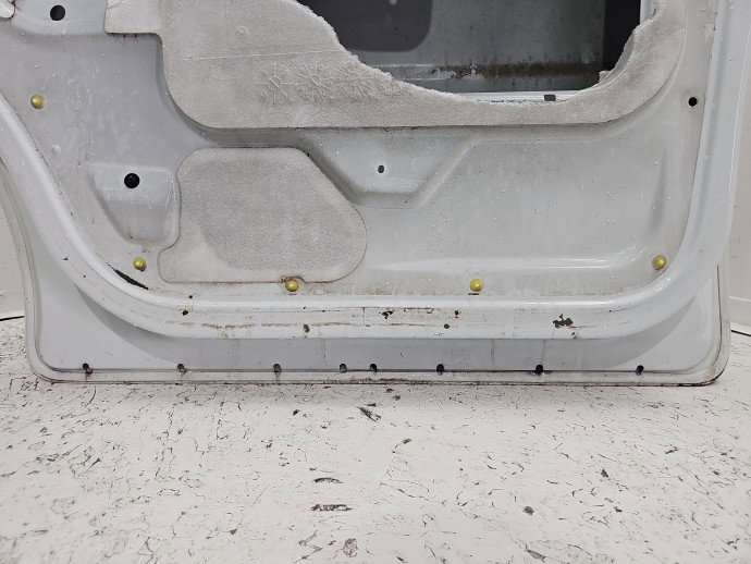 Usa dreapta fata Opel Vivaro (F7) [Fabr 2001-2013] EZZ
