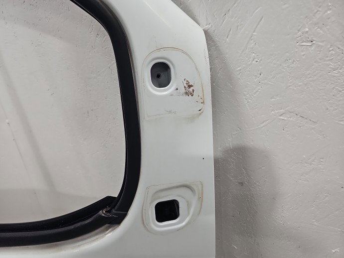 Usa dreapta fata Opel Vivaro (F7) [Fabr 2001-2013] EZZ