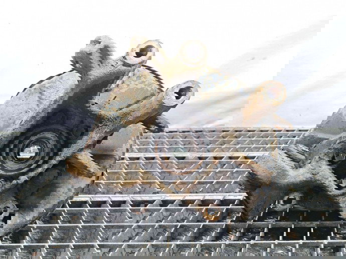 Fuzeta spate dreapta Toyota Rav 4 III (ACA3, ACE, ALA3, GSA3, ZSA3) [Fabr 2005-2013] OEM 2.2  