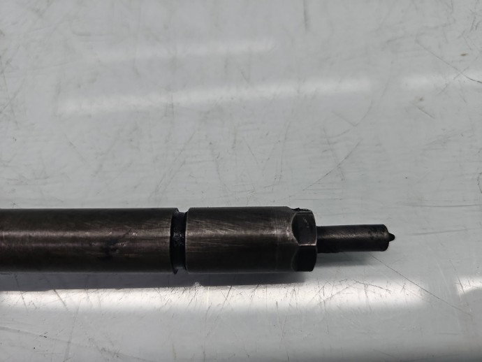 Injector PEUGEOT 307 [Fabr 2000-2008] 0445110259 1.6 TDCI G8DB 80KW / 109CP