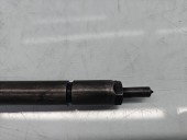Injector PEUGEOT 307 [Fabr 2000-2008] 0445110259 1.6 TDCI G8DB 80KW / 109CP