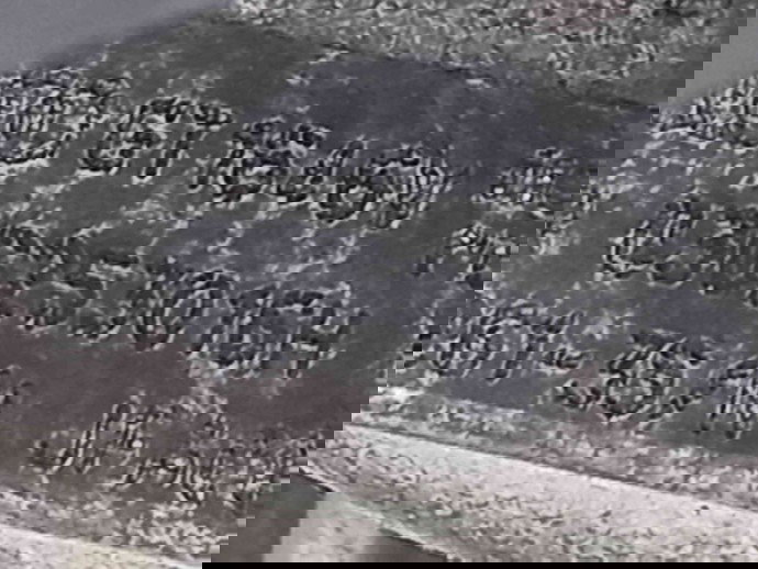 Turbina 03G253016H Volkswagen Passat Variant B6 (3C5) [Fabr 2005-2010] 2.0 BMP