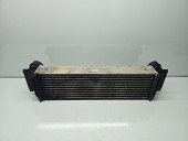 Radiator intercooler Bmw 5 (F10) [Fabr 2011-2016] 7805629-06 2.0 N47D20O1 135KW / 184CP