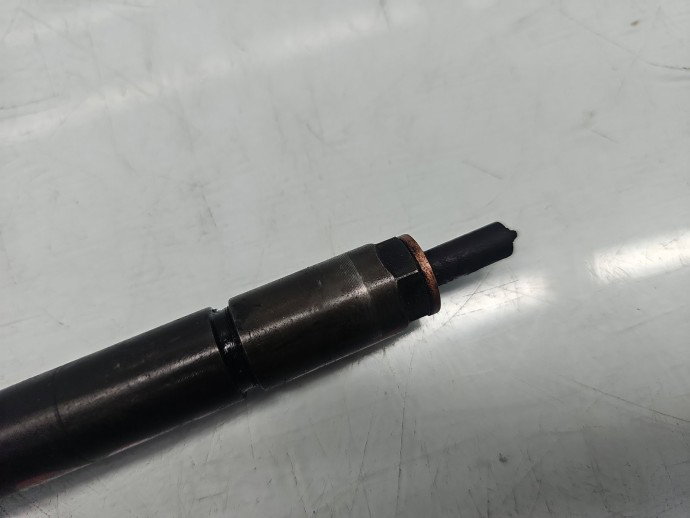 Injector Citroen C3 (I) [ Fabr 2002-2009] 0445110259 1.6 TDCI G8DB 80KW / 109CP